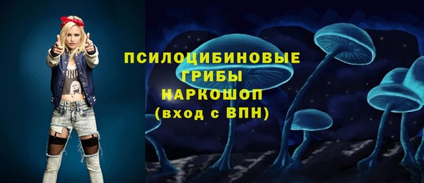 твердый Богородицк