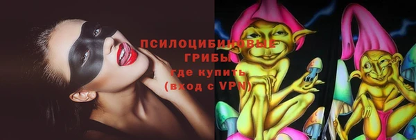 твердый Богородицк