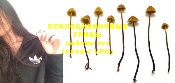 ALPHA-PVP Богданович