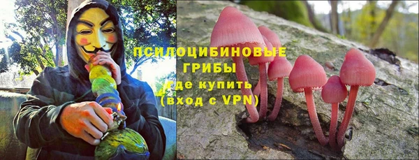 apvp Богородск
