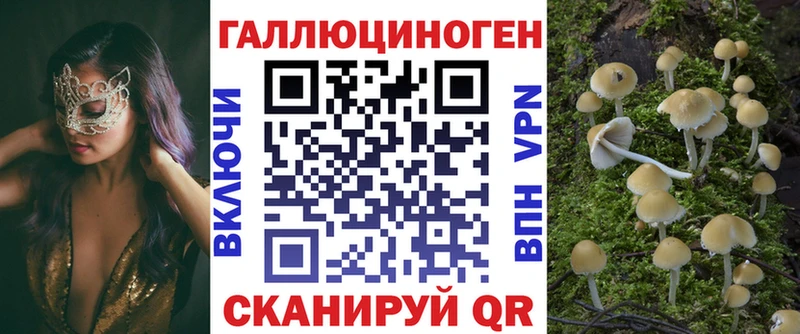 даркнет сайт  Дрезна  Галлюциногенные грибы мухоморы 